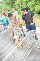 170614_Homes for Canines_250