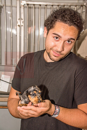 170614_Homes for Canines_296