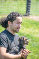 170614_Homes for Canines_320