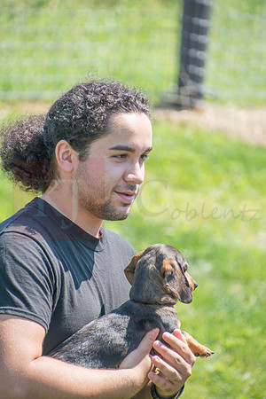 170614_Homes for Canines_320