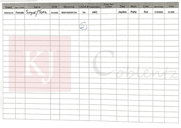 05.21.22 Mini Dachshund Sell Sheet