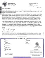 Rumpy AKC Papers