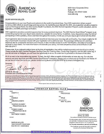 Rumpy AKC Papers