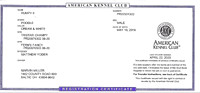 Rumpy AKC Papers 1
