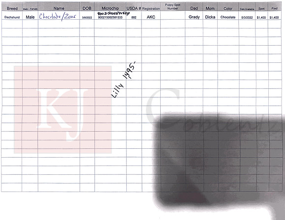 03.08.22 Mini Dachshund Sell Sheet