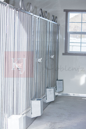 180213_New Bedford Feed_10