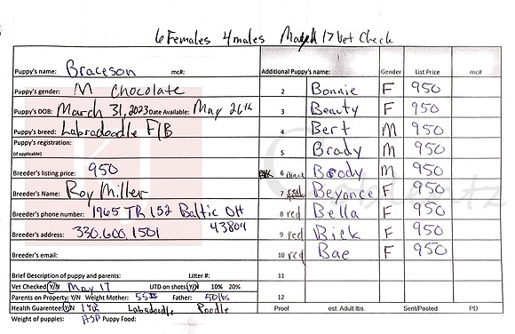 03.31.23 Labradoodles Sell Sheet