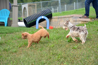 181012_Abe Miller_10 copy