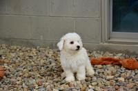 181012_Abe Miller_13 copy