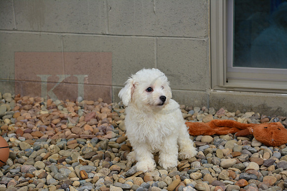 181012_Abe Miller_13 copy