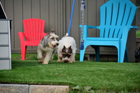 181012_Abe Miller_15