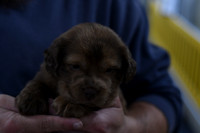 181012_Abe Miller_22