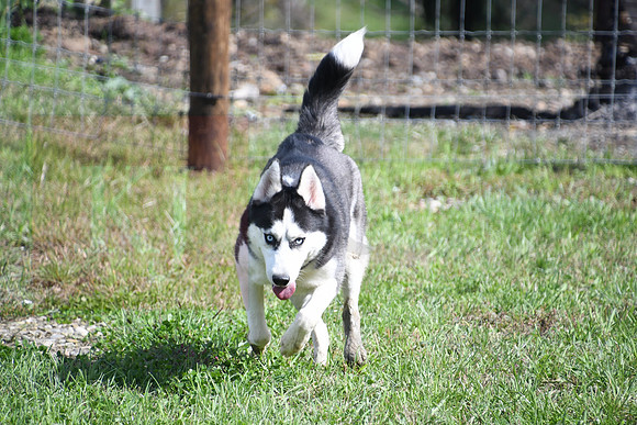 181012_Abe Miller_385
