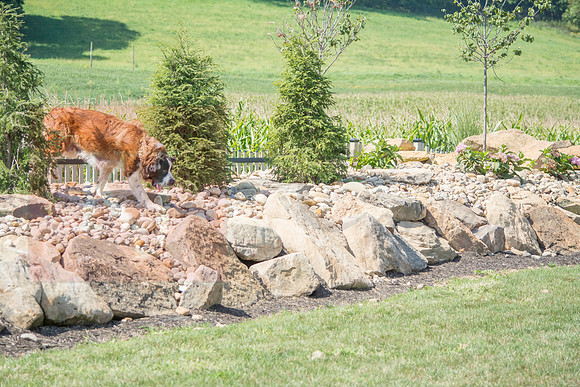 160916_QuailCreek Kennel_145