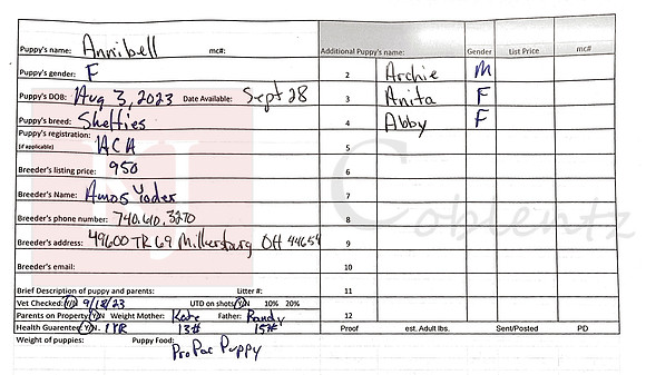 08.03.23 Shelties Sell Sheet