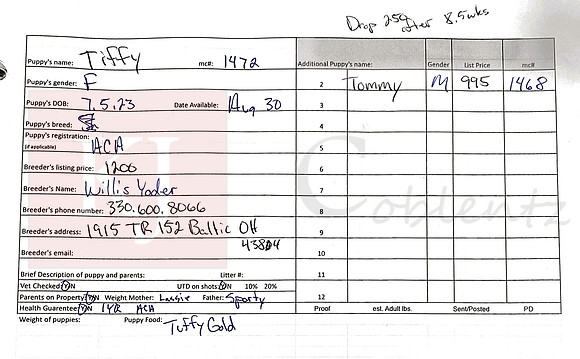 07.05.23 Shelties Sell Sheet