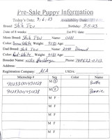 07.05.23 Shih Tzu Sell Sheet
