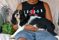 Miley_F_Cavalier_15#-1