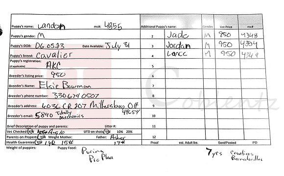 06.05.23 Cavaliers Sell Sheet