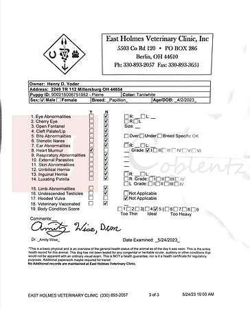 Pierre Vet Check