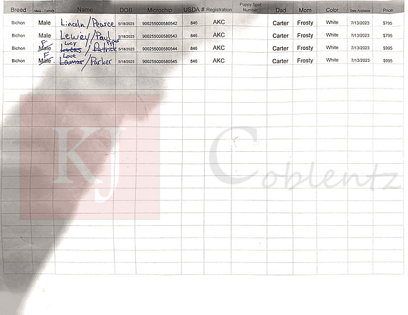 05.18.23 Bichons Sell Sheet