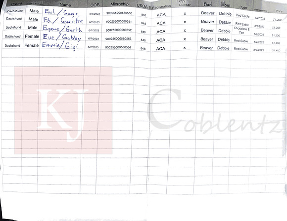 06.07.23 Mini Dachshunds Sell Sheet