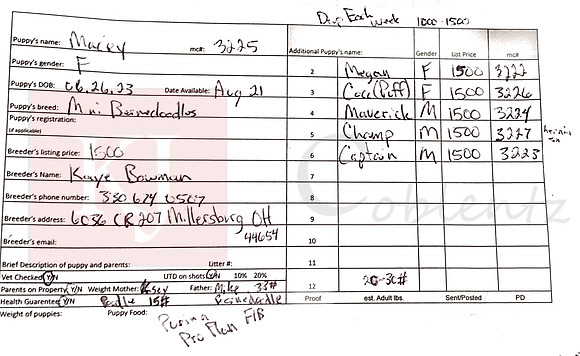 06.26.23 Mini Bernedoodles Sell Sheet