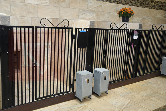 190905_Puppy Abe, Daniel Miller_137
