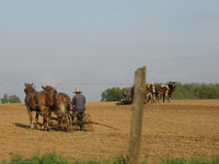 Plowing the Fields