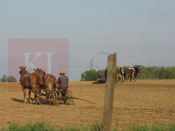 Plowing the Fields