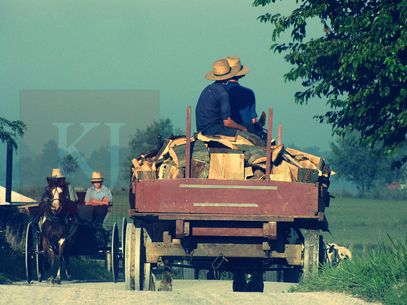 Load of Firewood