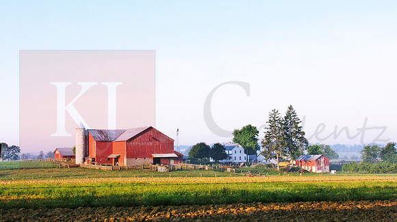 Amish Farm