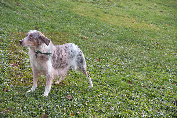 Misty_F_Aussie