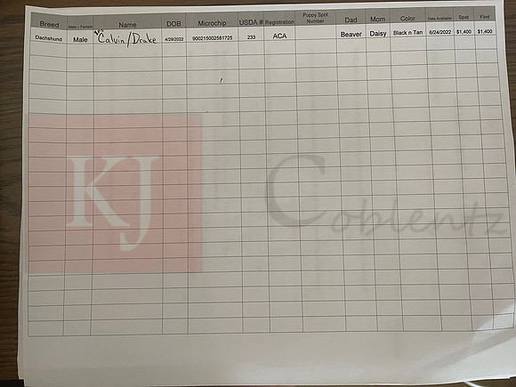 04.29.22 Dachshund Sell Sheet