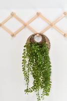 4Cdwelling.com-72