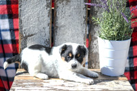 200420_Audrey_25