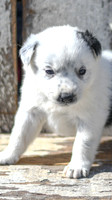 200420_Austin_80