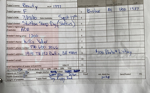 07.23.20 Shelties Sell Sheet