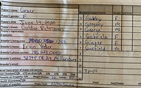 06.14.20 Golden Retrievers Sell Sheet