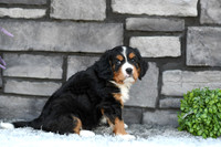 200617 Palmer_1259_M 3011