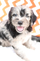200903 Payton_0037_M 54-2