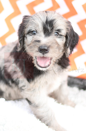 200903 Payton_0037_M 54-2