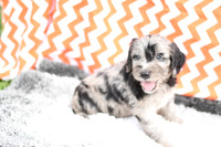 200903 Payton_0037_M 55