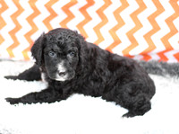 200903 Perry_0036_M 28