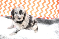 200903 Payton_0037_M 48
