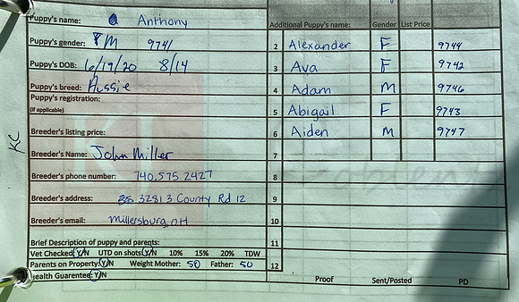 06.19.20 Australian Shepherds Sell Sheet