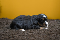 200826 Icelyn_5791_F 168