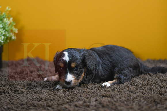 200826 Icelyn_5791_F 171