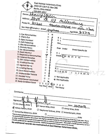 Vet Check_Aldo