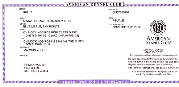 Scannable Document 2 on Nov 17, 2021 at 5_02_49 PM